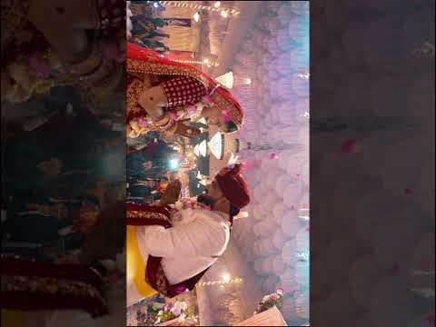 Wedding Reel 03 — Instagram Reels by The Wedding Film